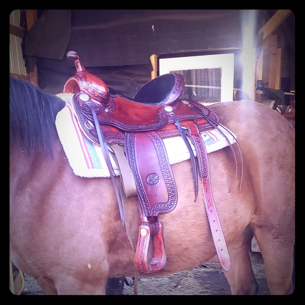 Sold**15.5 inch billy cook trail saddle